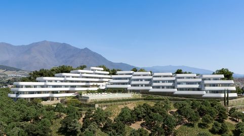 Skye Casares Golf, imagen 4