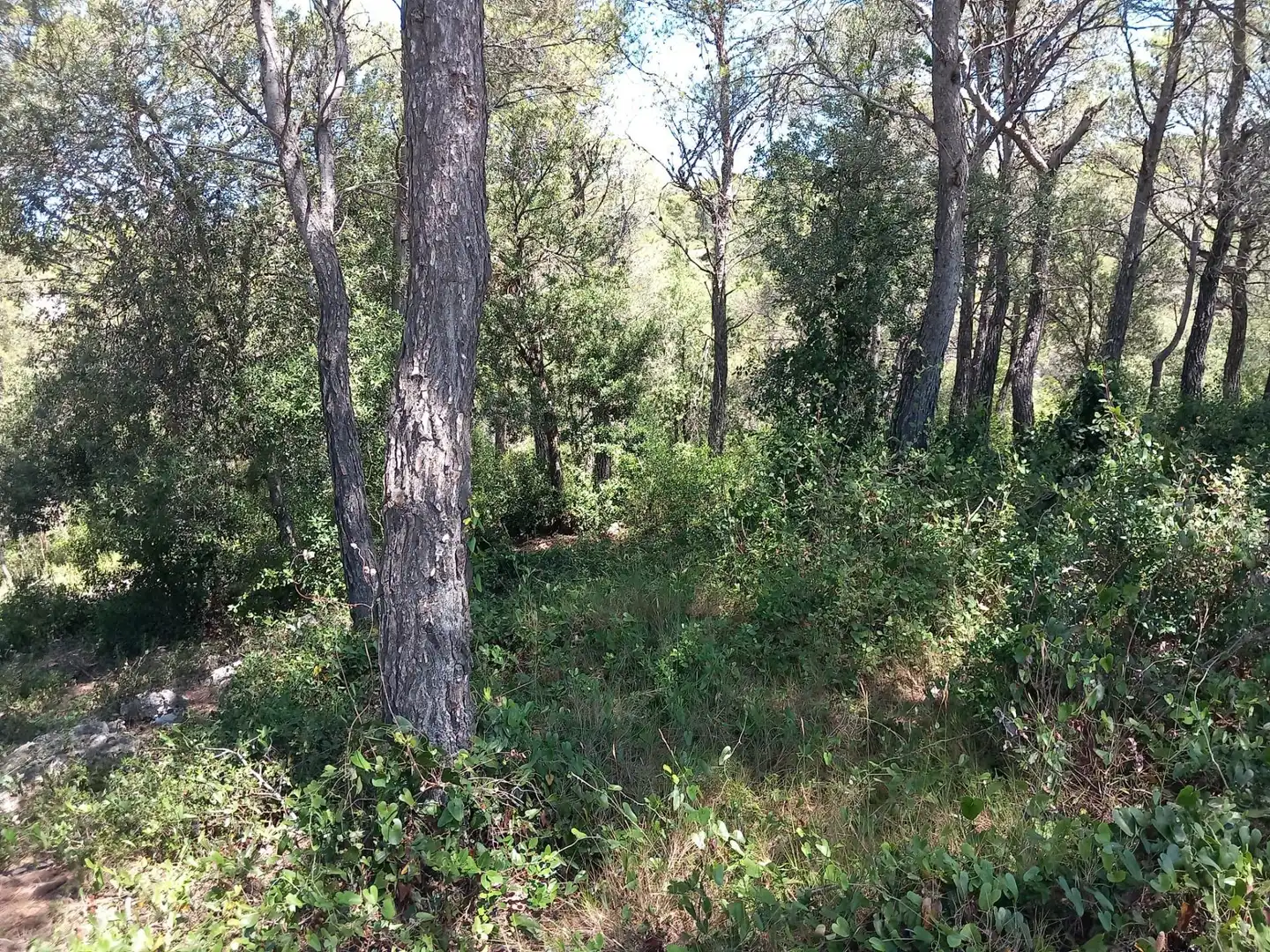 Residential land for sale in Torrelles de Foix, imagen 4