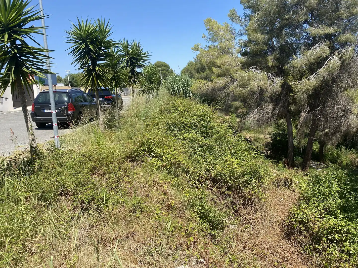 Residential land for sale in Urbanitzacions de Llevant, imagen 29