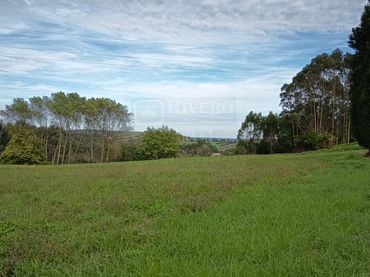 Terreno residencial en venta en Lugar Susacasa
