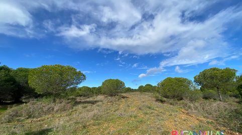 Photo 3 of Land for sale in N/a, -1, Villablanca, Huelva