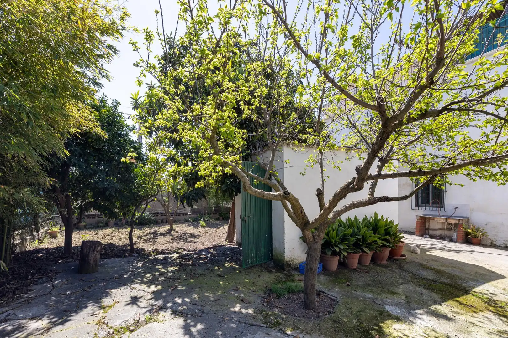 Garten von Country house zum Verkauf in Armilla mit Privatgarten und Terrasse