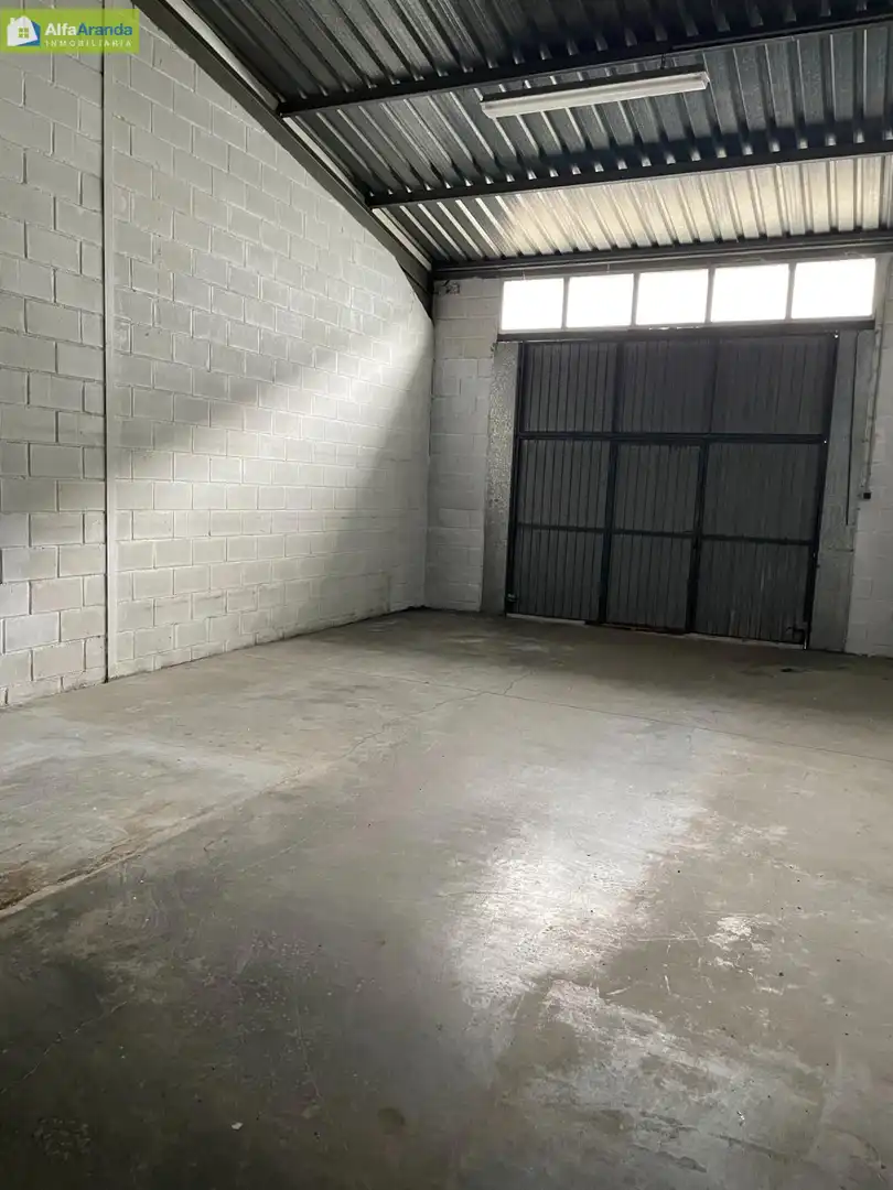 Industrial buildings for sale in Allendeduero
