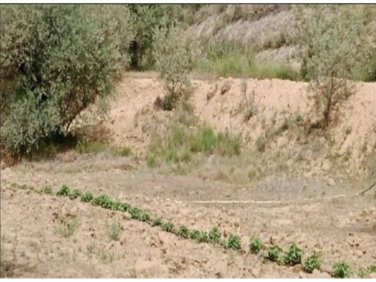 Terreni e lotti in vendita a Tamarite de Litera, imagen 6