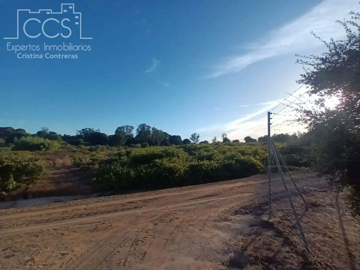 Finca rústica en venda en Bollullos Par del Condado amb Jardí privat i Moblat