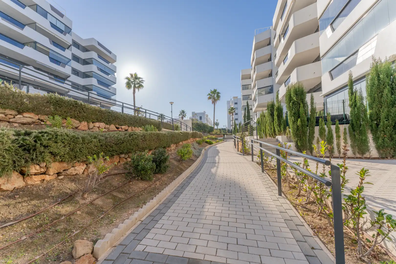 Vista exterior de Apartamento en venta en Elche / Elx con Calefacción, Terraza y Piscina