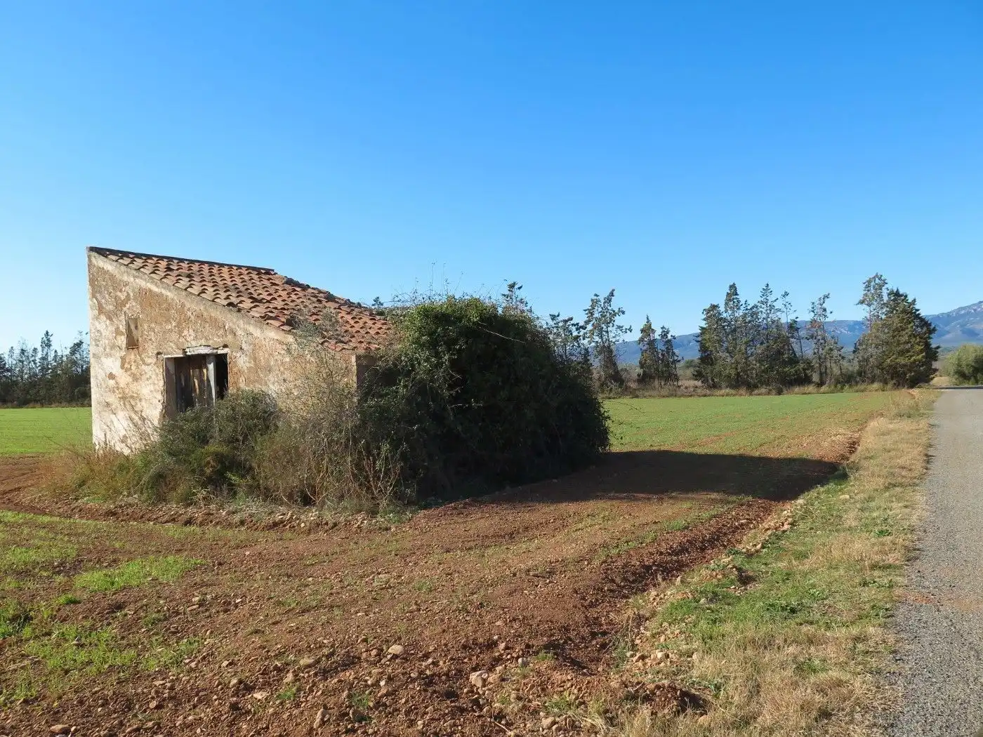 Rural land for sale in Godall, imagen 8