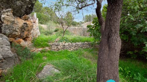 Foto 4 de Casa o chalet en venta en Selva, Illes Balears
