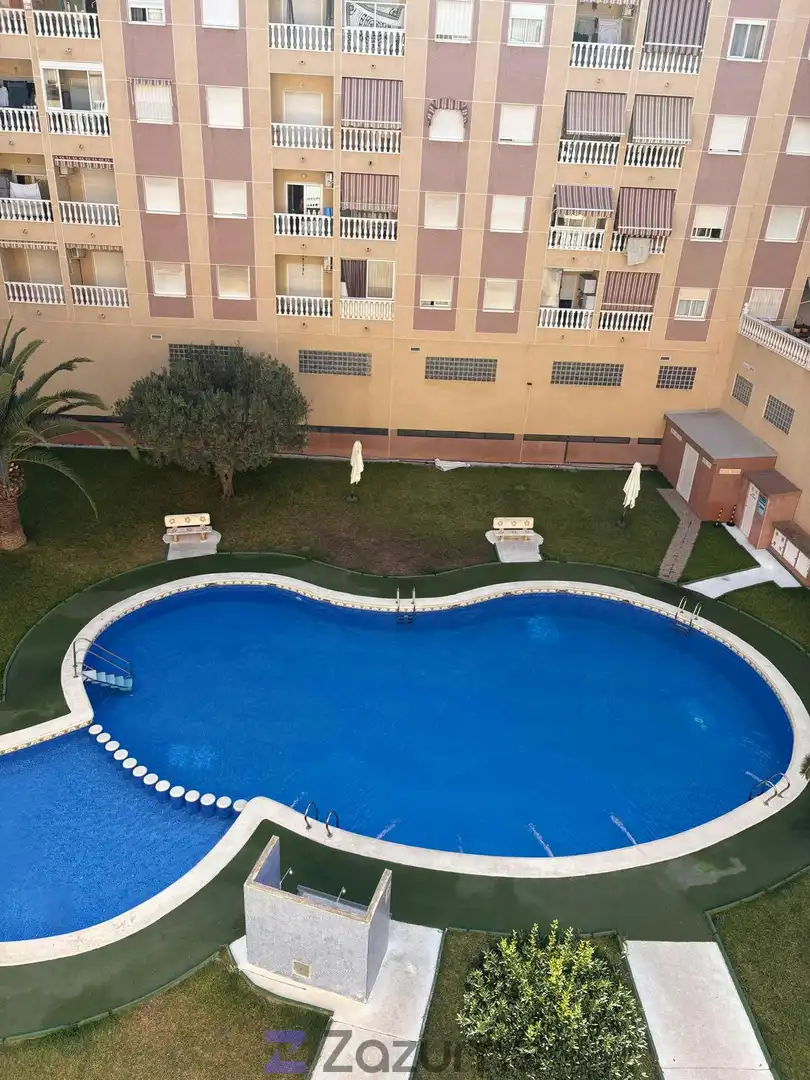 Piscina de Piso de alquiler en Torrevieja con Terraza, Amueblado y Lavadora