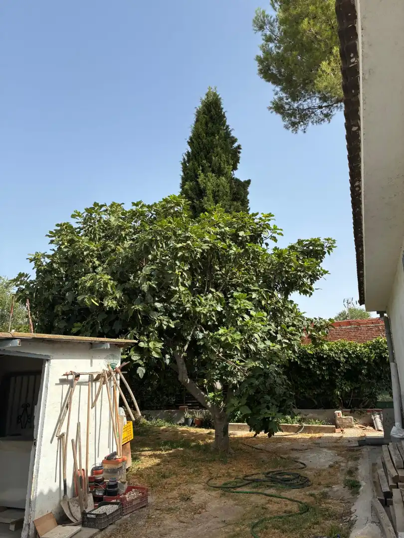 Jardín de Casa o chalet en venta en Colmenar de Oreja con Aire acondicionado, Calefacción y Jardín privado