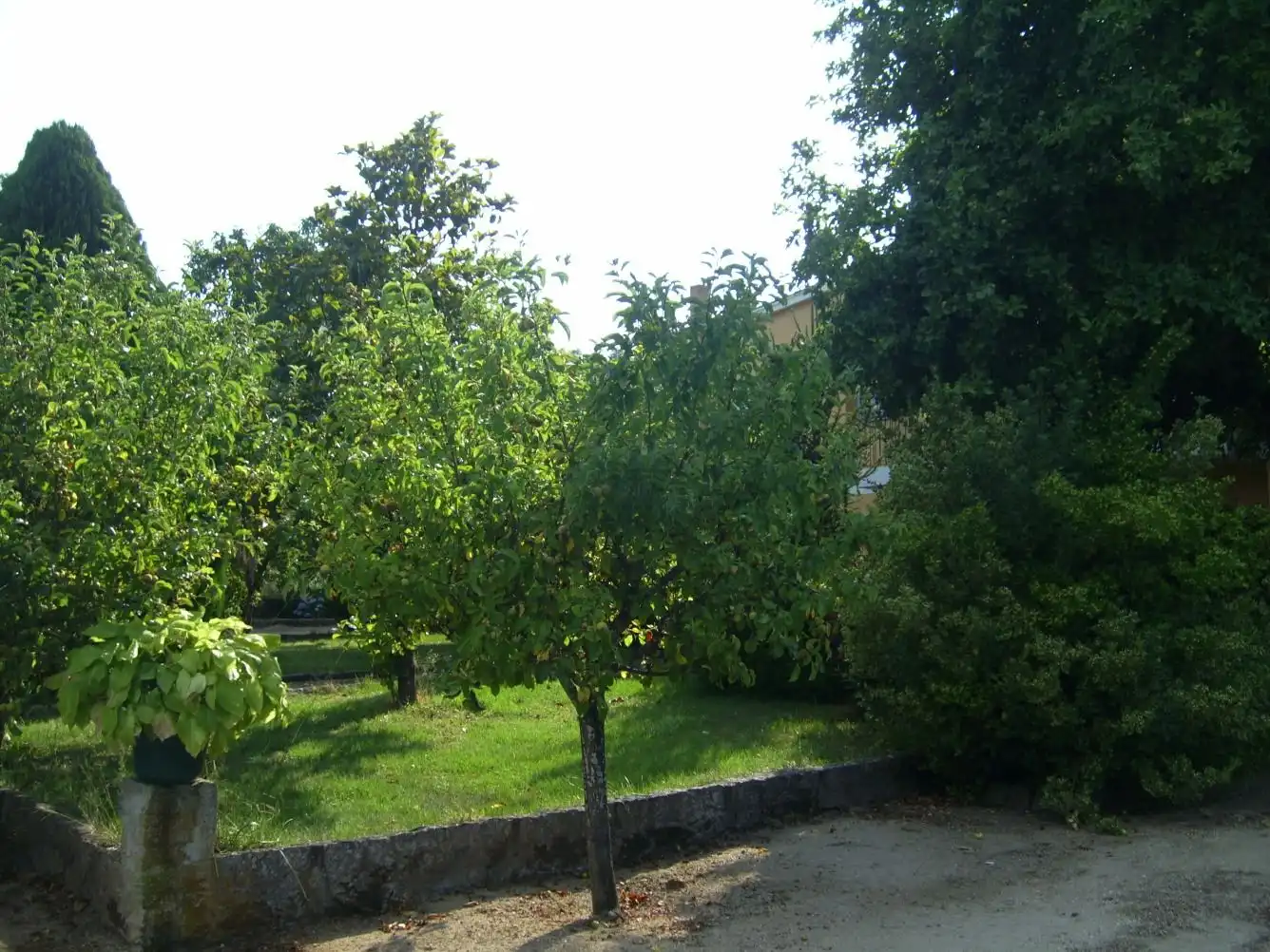 Haus zum Verkauf in Rúa Gabino Bugallal, imagen 8