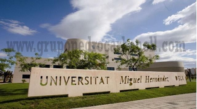 Exterior view of Industrial buildings to rent in Elche / Elx