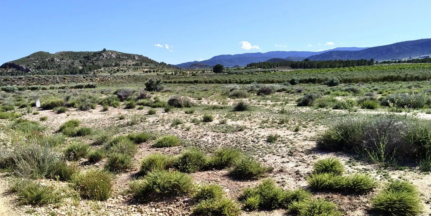 Rural land for sale in Las Virtudes, imagen 2