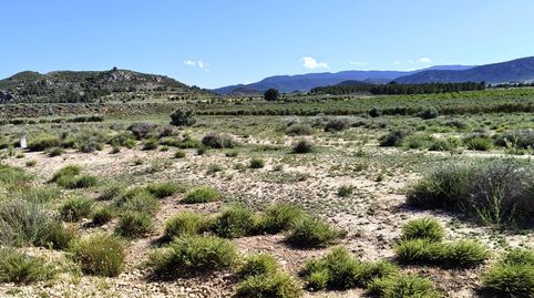 Foto 2 de Terreno en venta en Las Virtudes, Villena