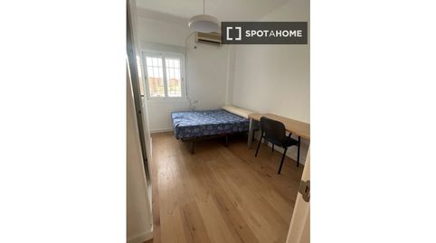 Photo 5 of Room in El Plantinar – Avda. La Paz - El Juncal, Sevilla Capital