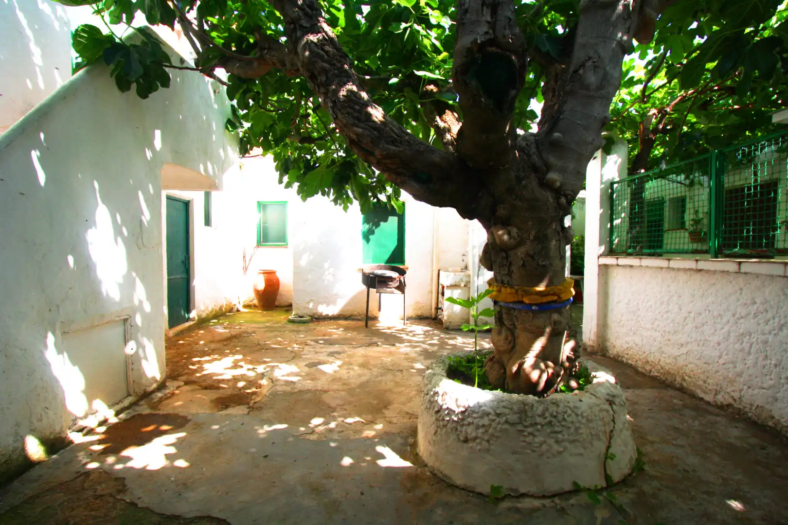 Jardí de Casa o xalet en venda en Albacete amb Terrassa, Traster i Moblat