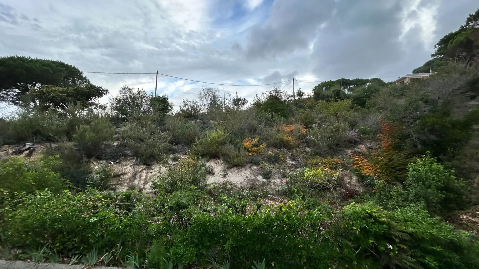 Terreno residencial en venta en Carrer Roure, imagen 3