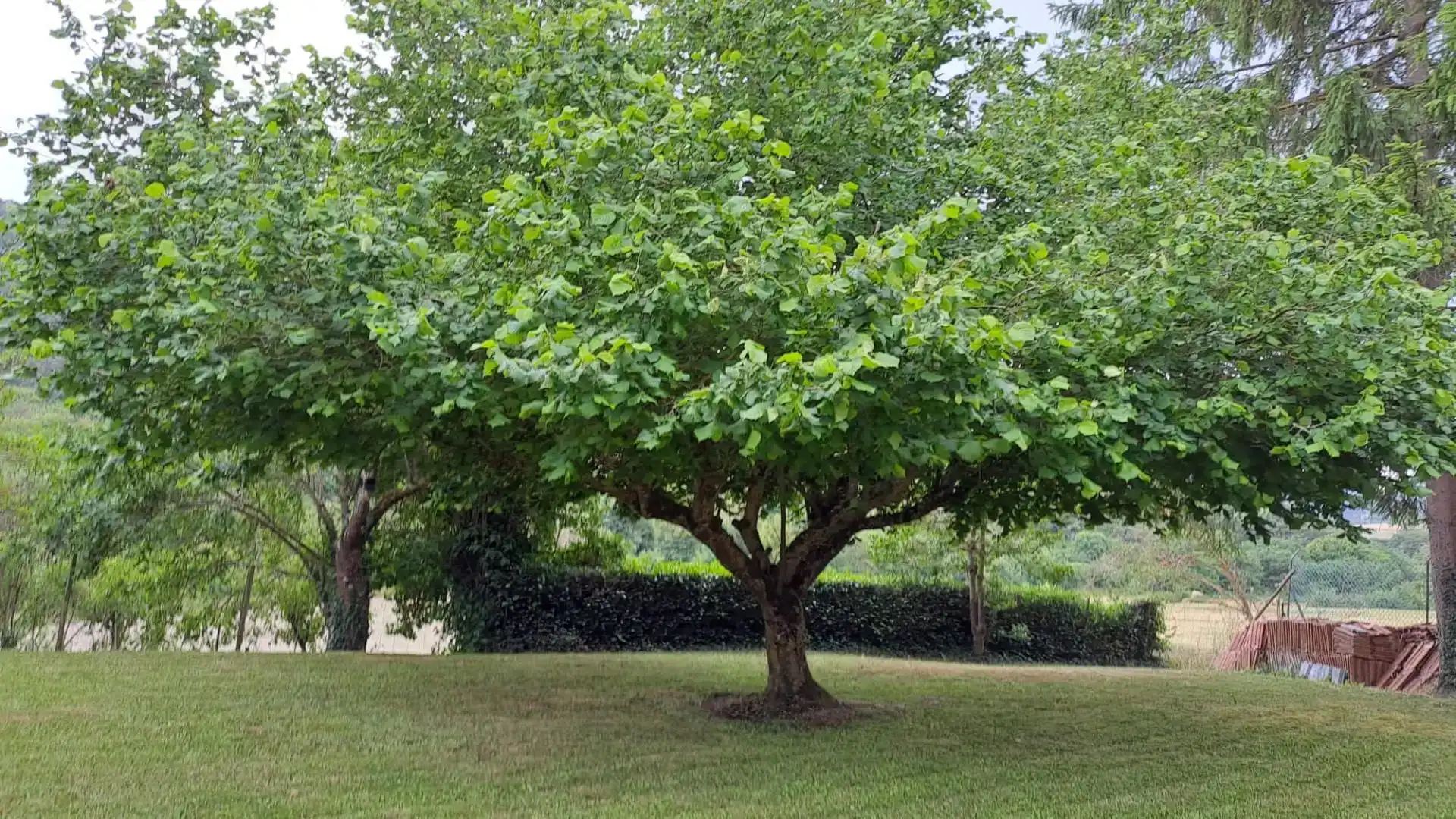 Jardín de Piso en venta en Valle de Losa con Amueblado