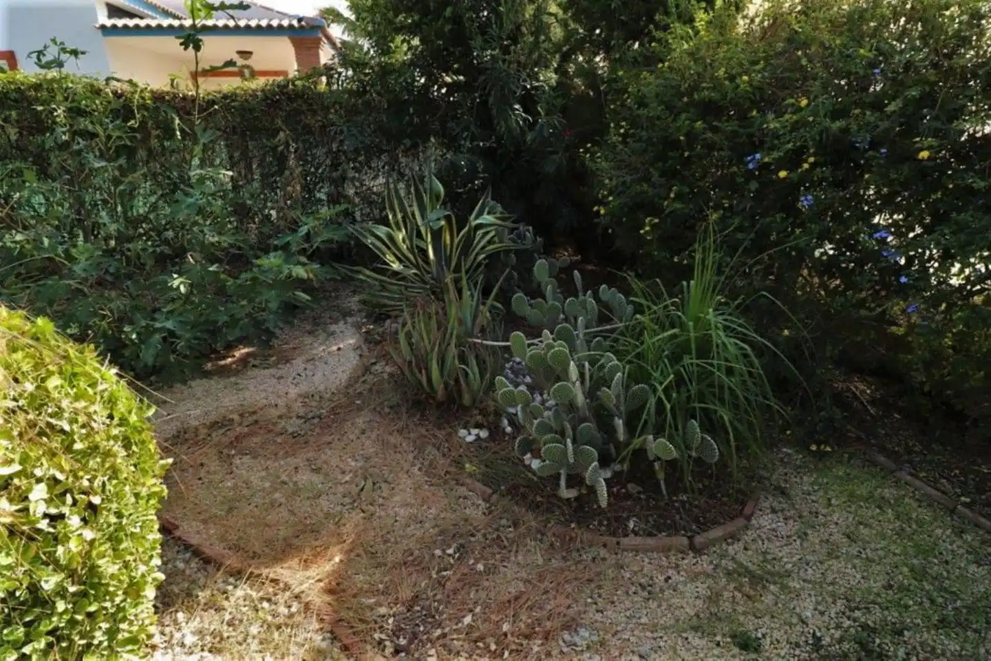 Casa o xalet de lloguer a Buenavista - Lauro Golf