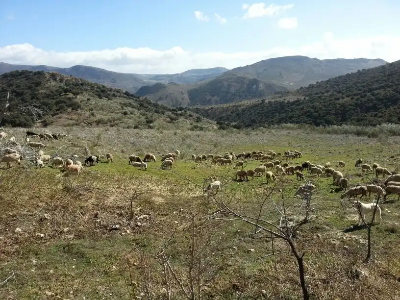 Casa rústica en venda a Huelma, imagen 75