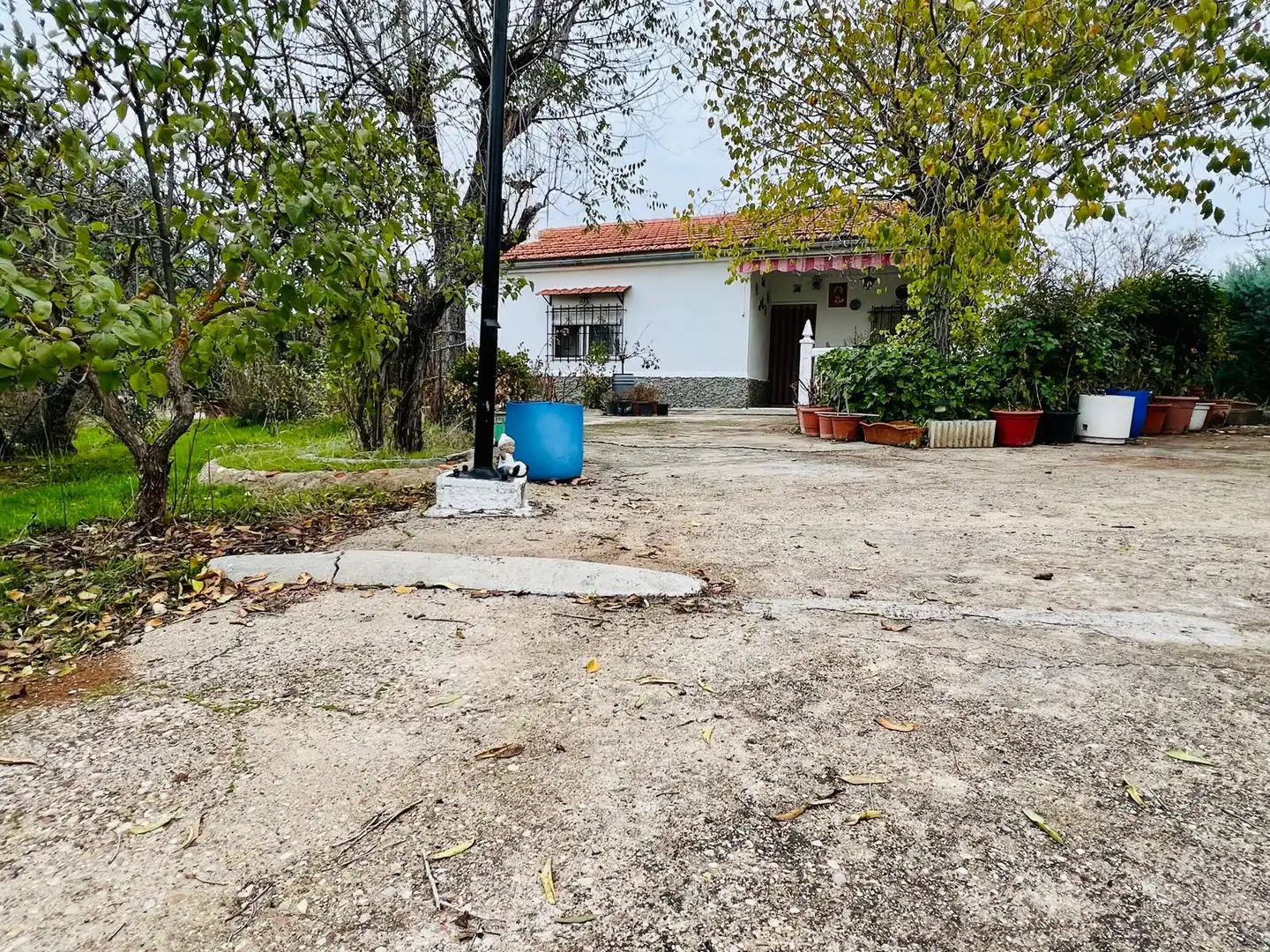 Vista exterior de Finca rústica en venda en Illana amb Jardí privat i Moblat