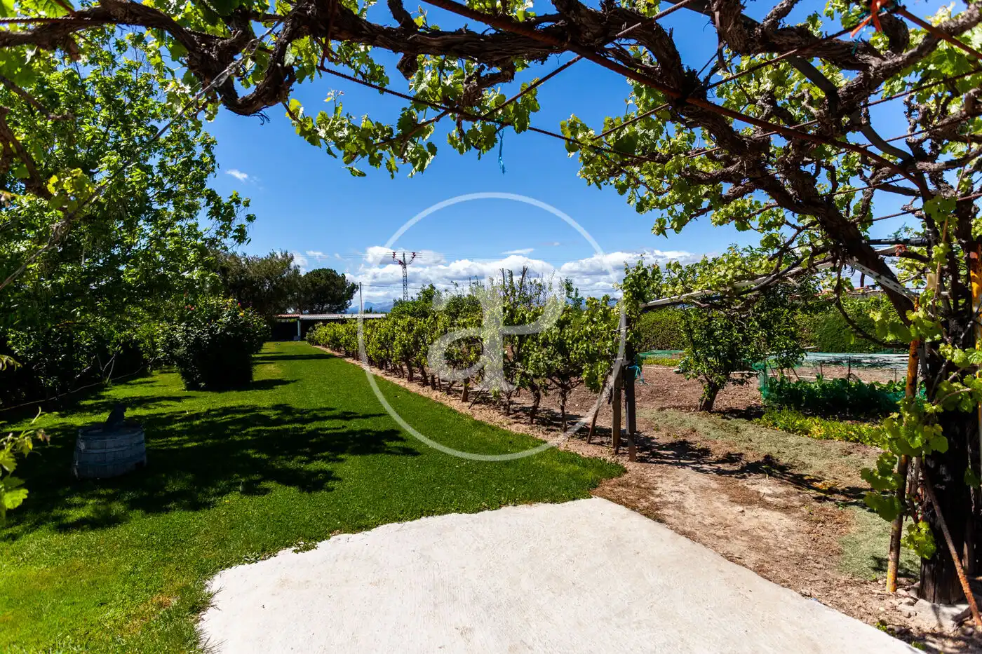 Jardí de Casa o xalet en venda en Fuente El Saz de Jarama amb Calefacció, Jardí privat i Terrassa