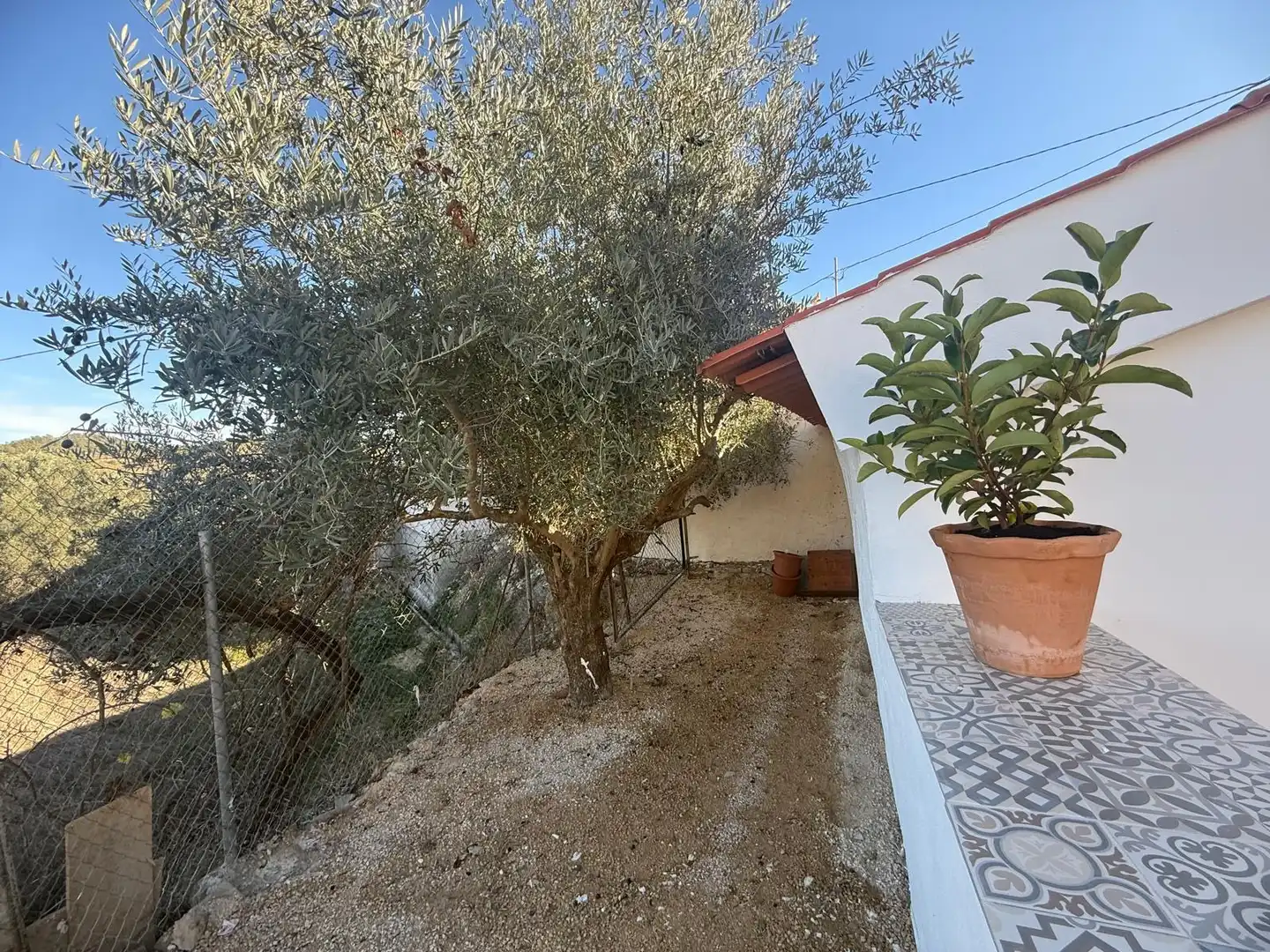 Jardí de Casa o xalet en venda en Cehegín amb Aire condicionat, Jardí privat i Terrassa