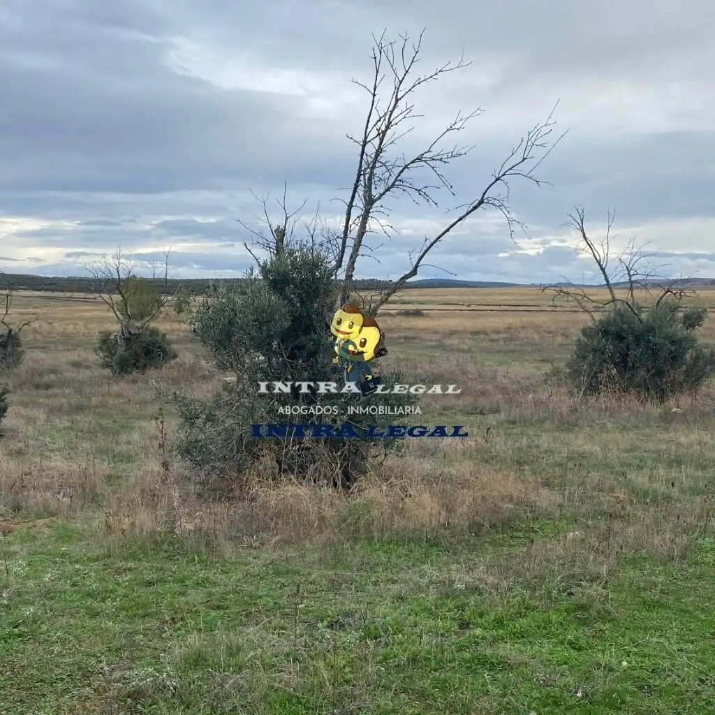 Land for sale in Miranda de Azán