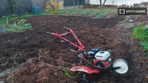 Photo 3 of Apartment to share in La Zubia Ciudad, La Zubia