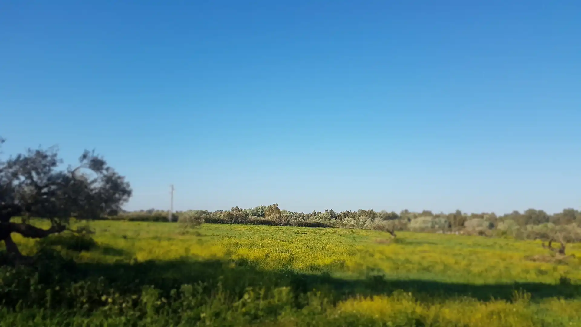 Terreni e lotti in vendita a Sanlúcar la Mayor, imagen 3