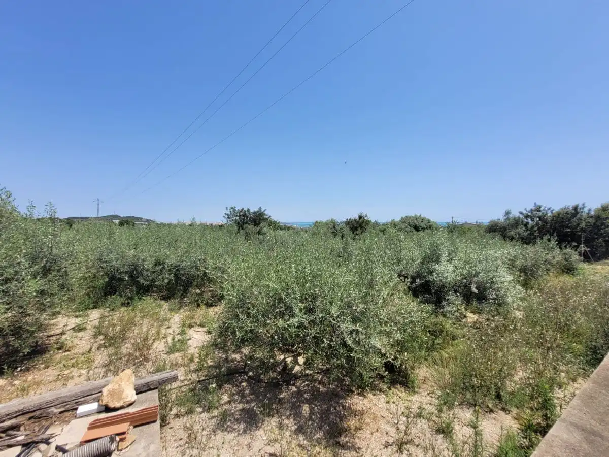 Country house for sale in Alcanar, imagen 17