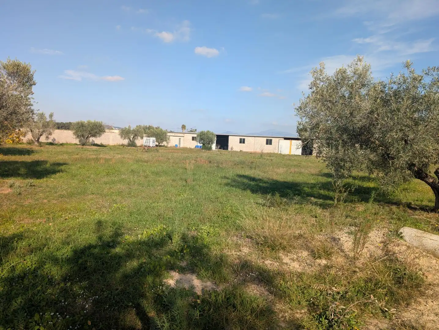 Terreno rustico in vendita a Partidas de interior - Zona Rústica, imagen 24