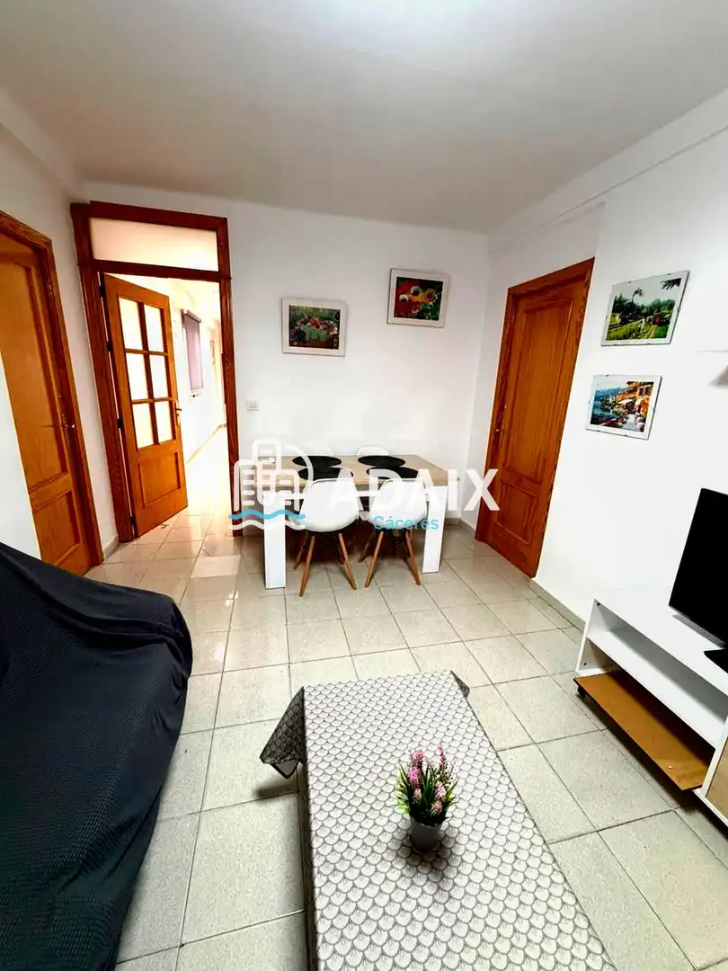 Flat for rent in CALLE SANCHEZ MANZANO, Centro