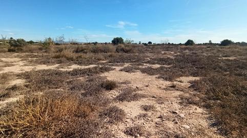 Foto 5 de Finca rústica en venda a Perleta - Maitino, Alicante