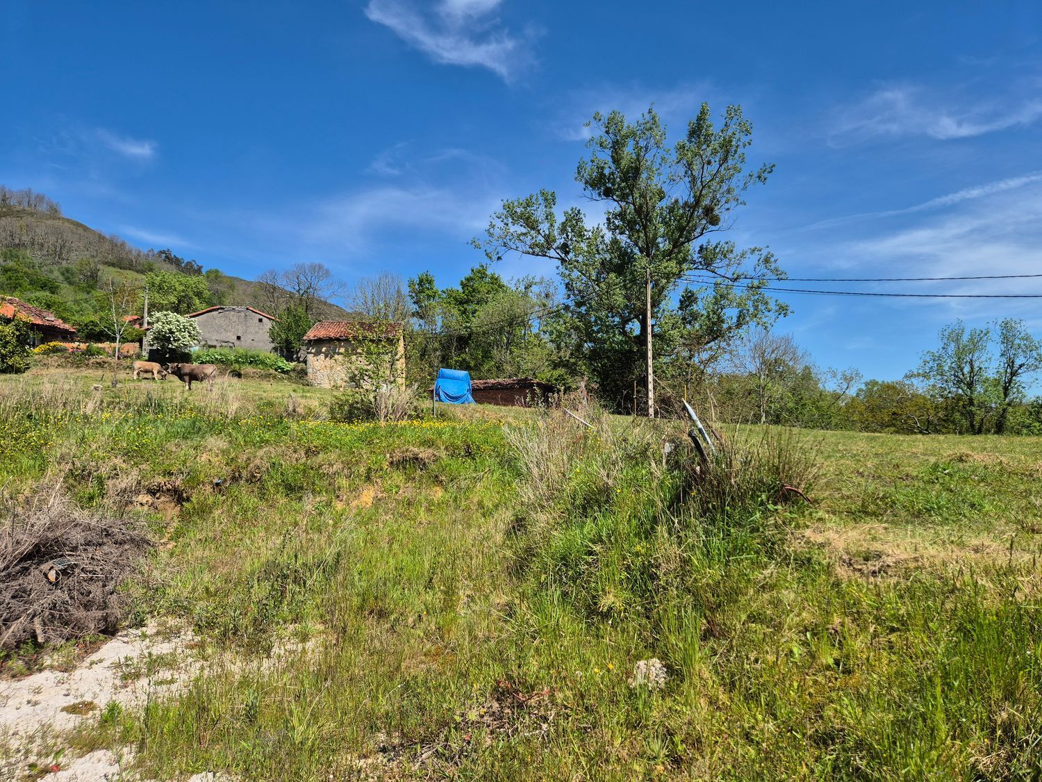 Residencial en venda en Cangas de Onís