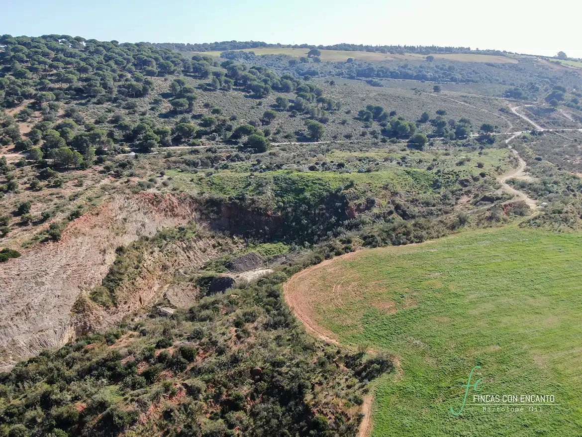 Terreno rustico in vendita a Arcos de la Frontera, imagen 5