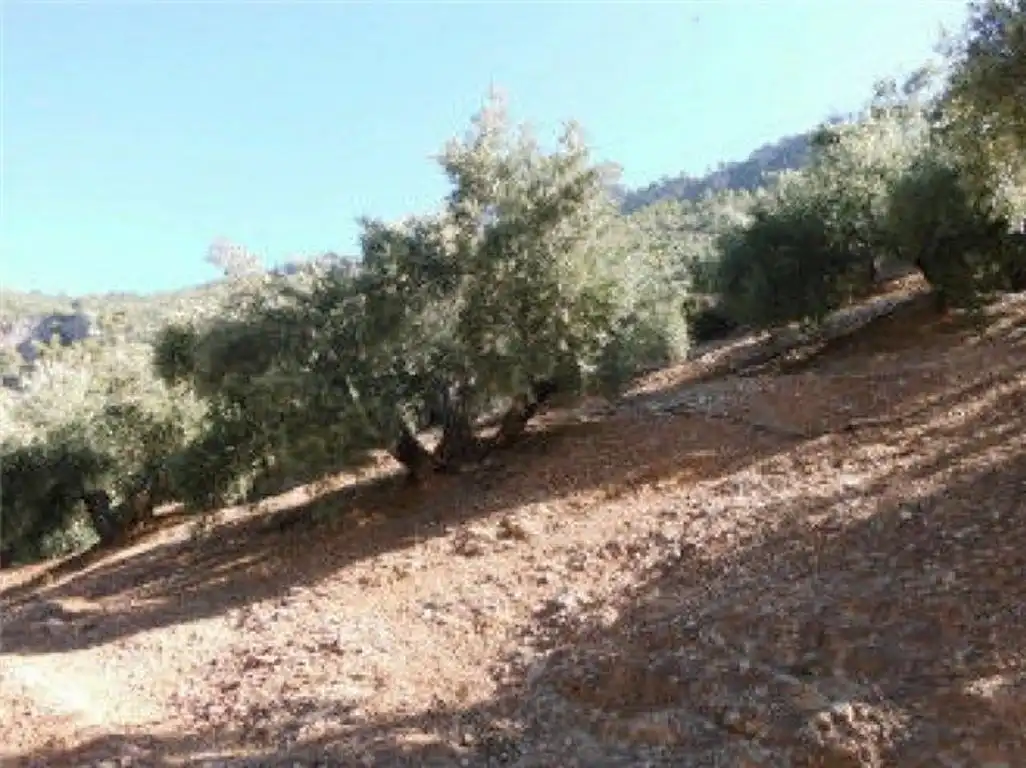 Terreno en venta en Sorihuela del Guadalimar