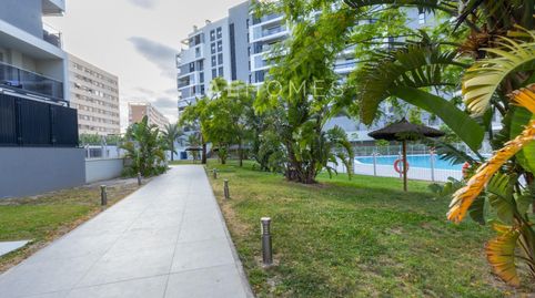 Foto 4 de Piso en venta en Calle Med Pedro Orts, Paus - Poligono San Blas, Alicante / Alacant