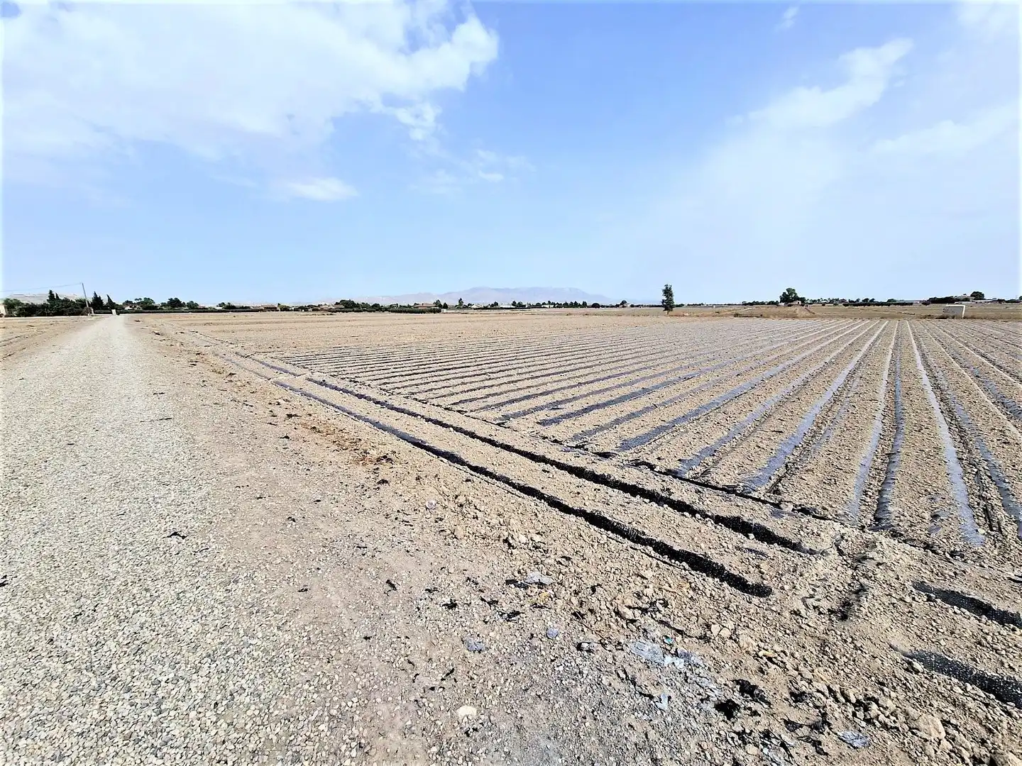 Residential land for sale in Pedanías Centro, imagen 3