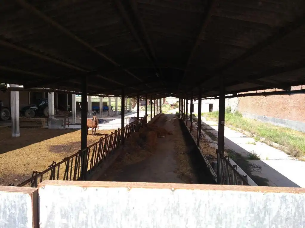 Nave industrial en venta en Partida detras de la Pleta, Torrefarrera