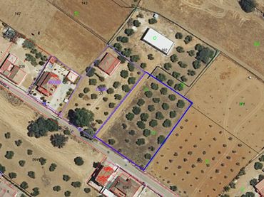 Terreno rustico in vendita a La Carlota