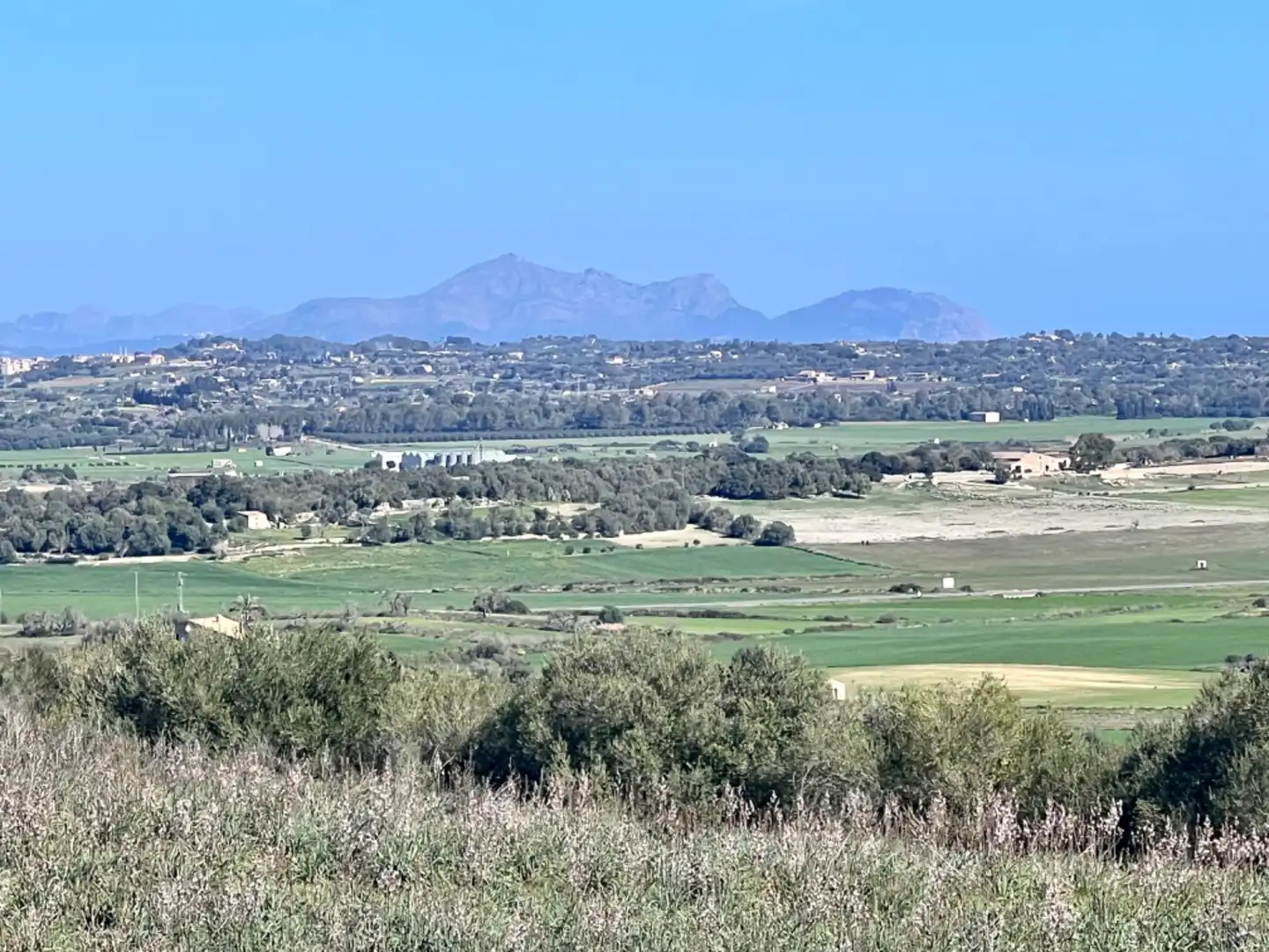 Finca rústica en venta en Petra