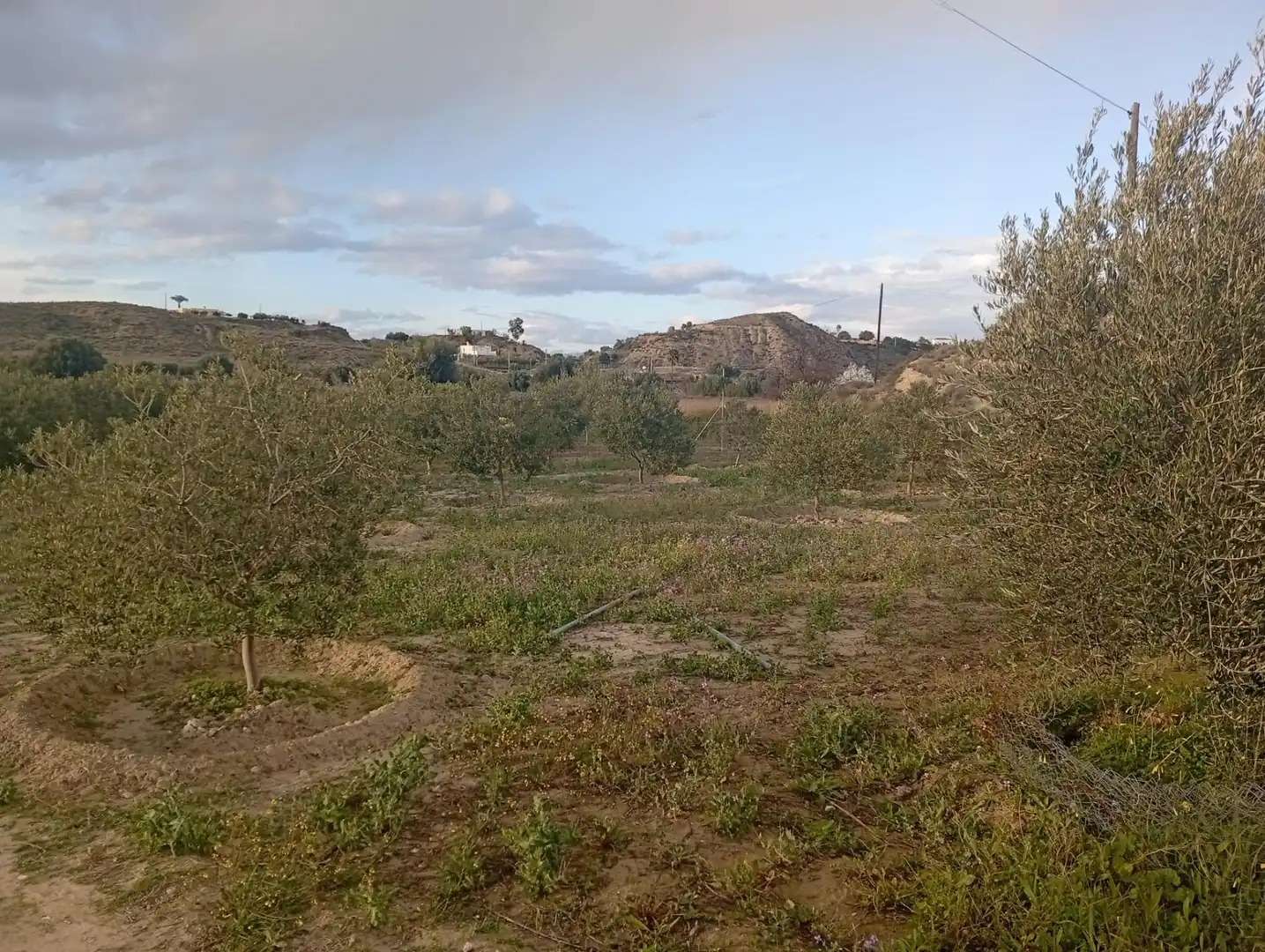 Terrenys i solars en venda a Mojácar Pueblo, imagen 12