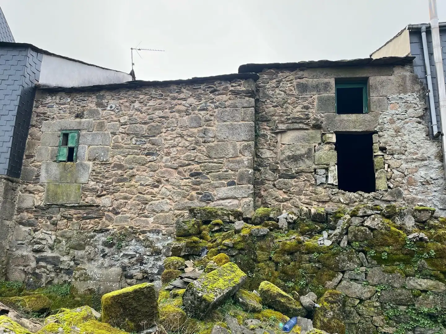 Vista exterior de Casa o chalet en venta en A Gudiña  con Jardín privado