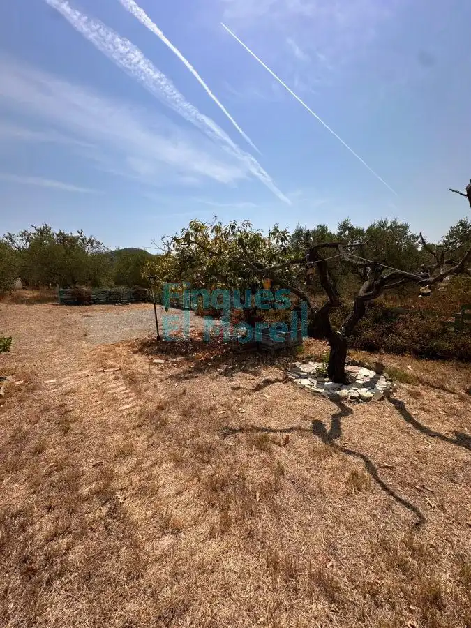 Houses for sale in L'Aleixar  with Terrace and Balcony