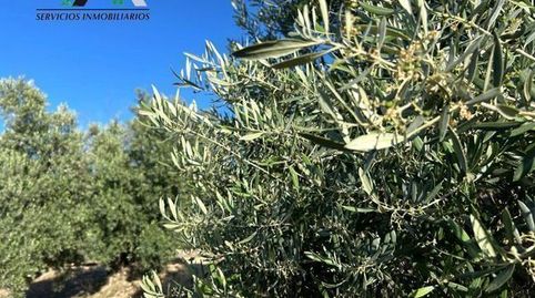 Terreno en venta en Banderas-Matabueyes, Baeza.