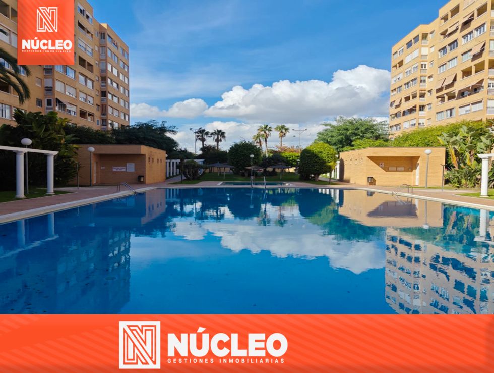 Piscina de Piso en venta en Alicante / Alacant con Terraza, Trastero y Lavadora