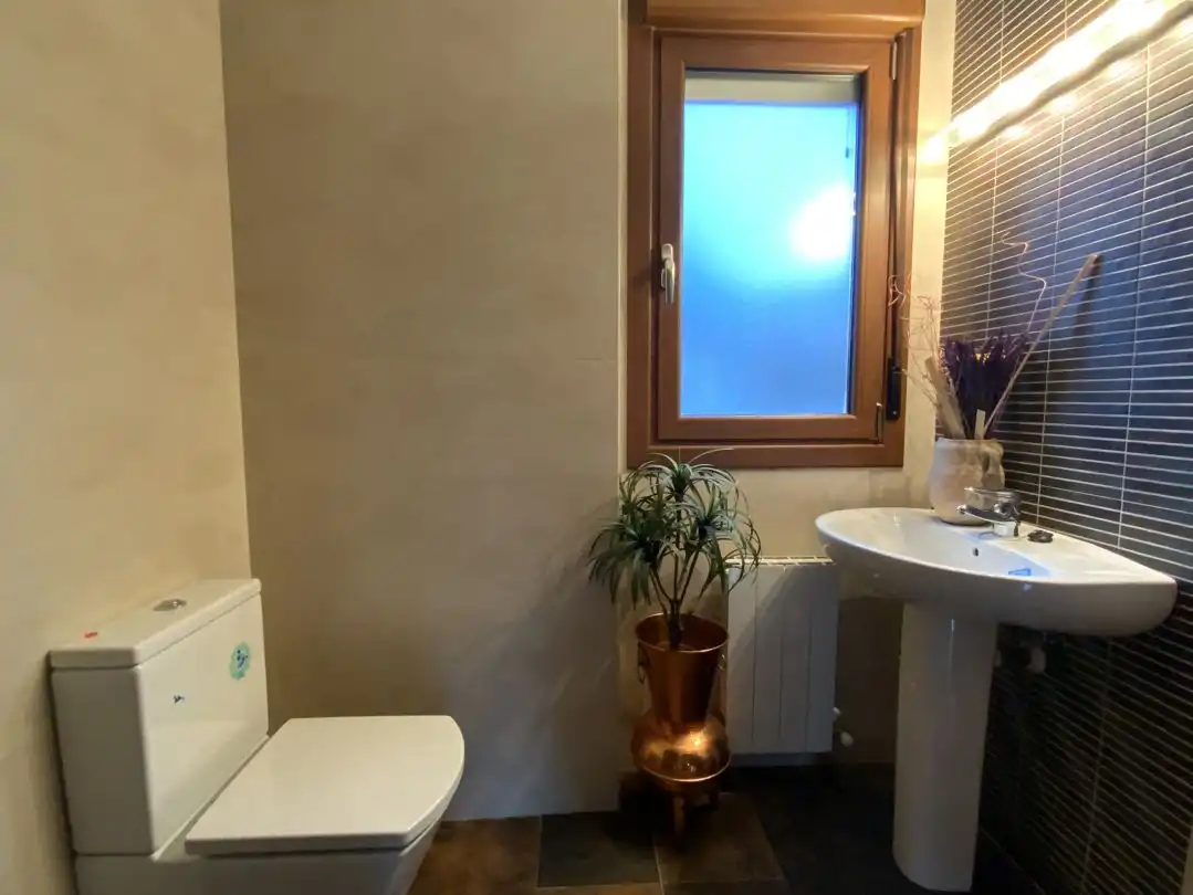 Bathroom of Houses for sale in Erriberagoitia / Ribera Alta  with Heating, Private garden and Terrace