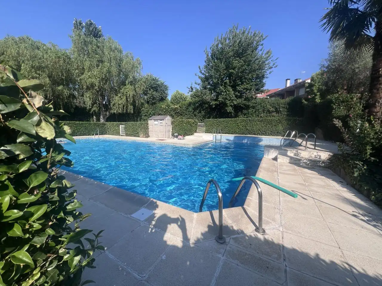 Casa con piscina in affitto a Calle Genaro Núñez