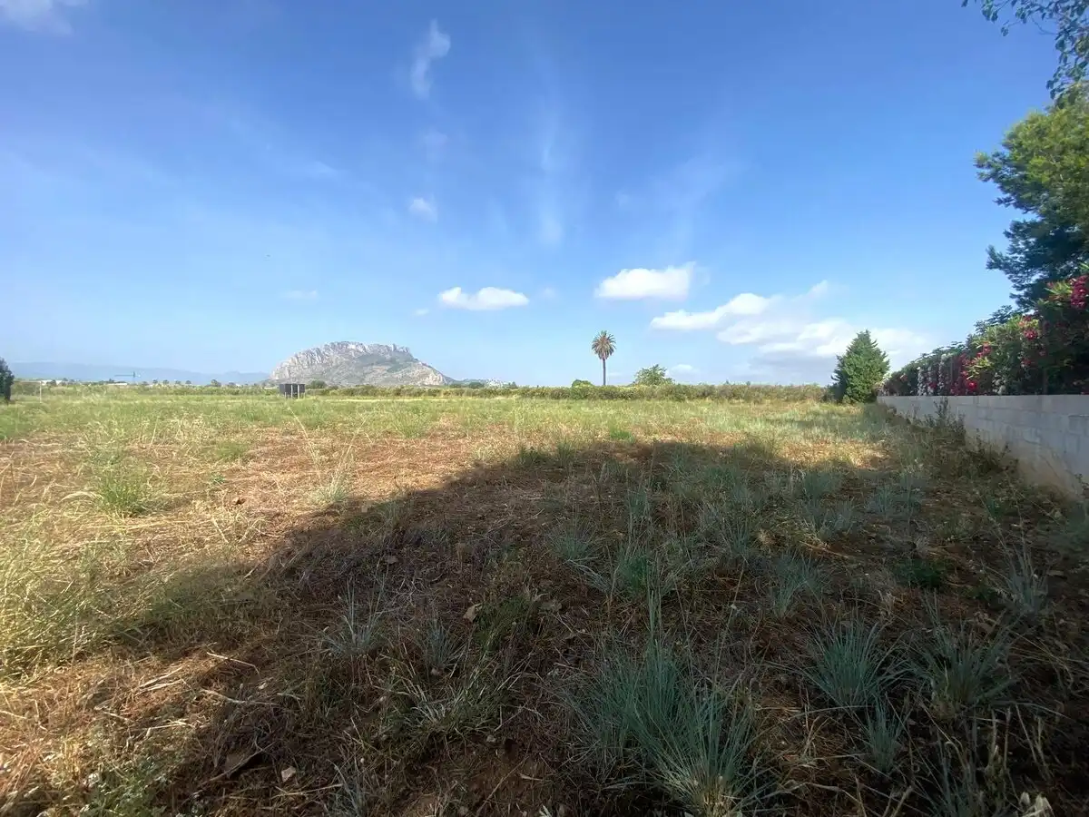Lands and plots for sale in Els Poblets, imagen 10